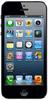 Смартфон Apple iPhone 5 16Gb Black & Slate - Саяногорск